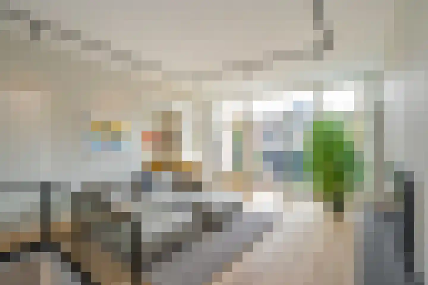Raamweg 21 Den Haag thumbnail 19