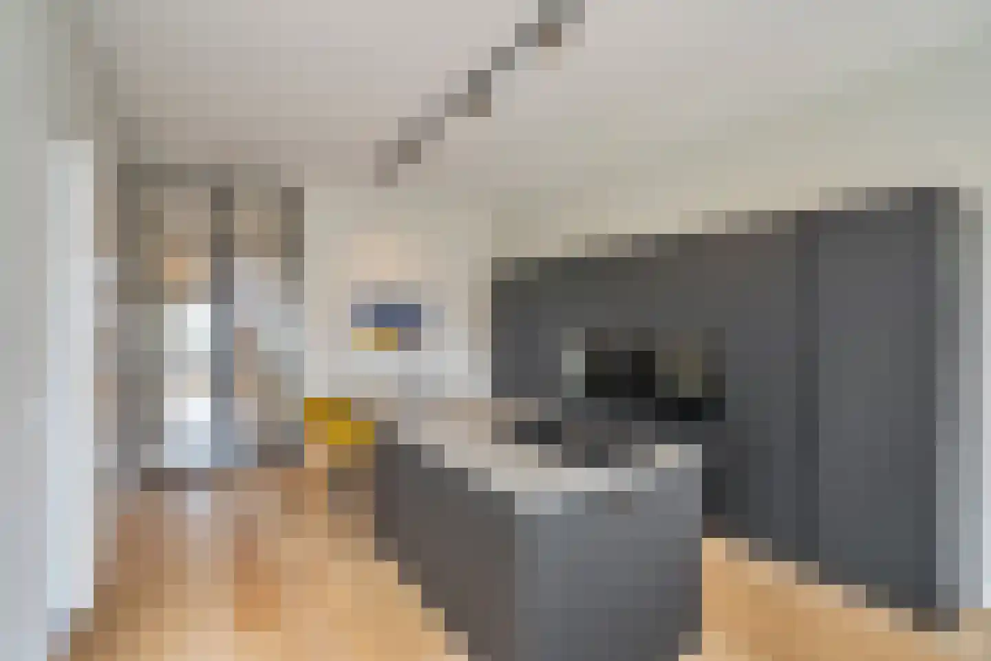 Raamweg 21 Den Haag thumbnail 21