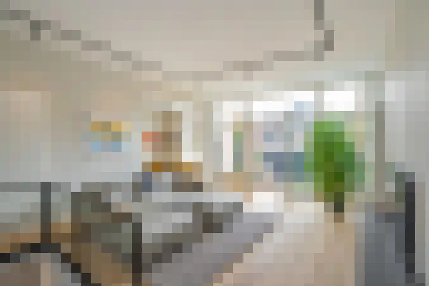 Raamweg 21 Den Haag thumbnail 24