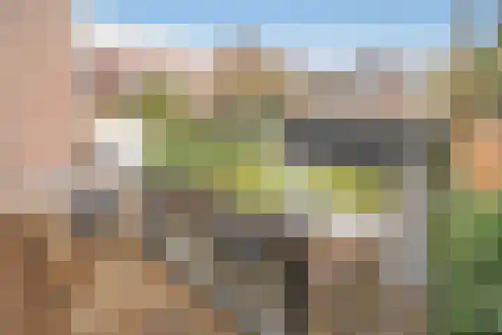 Raamweg 21 Den Haag thumbnail 26