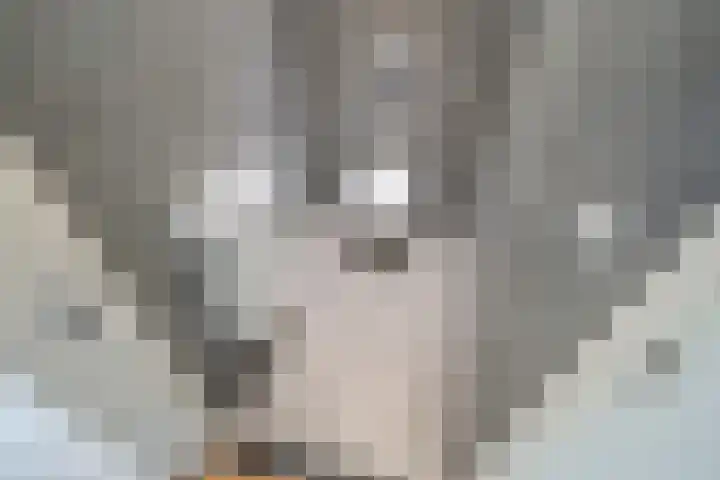 Raamweg 21 Den Haag thumbnail 33