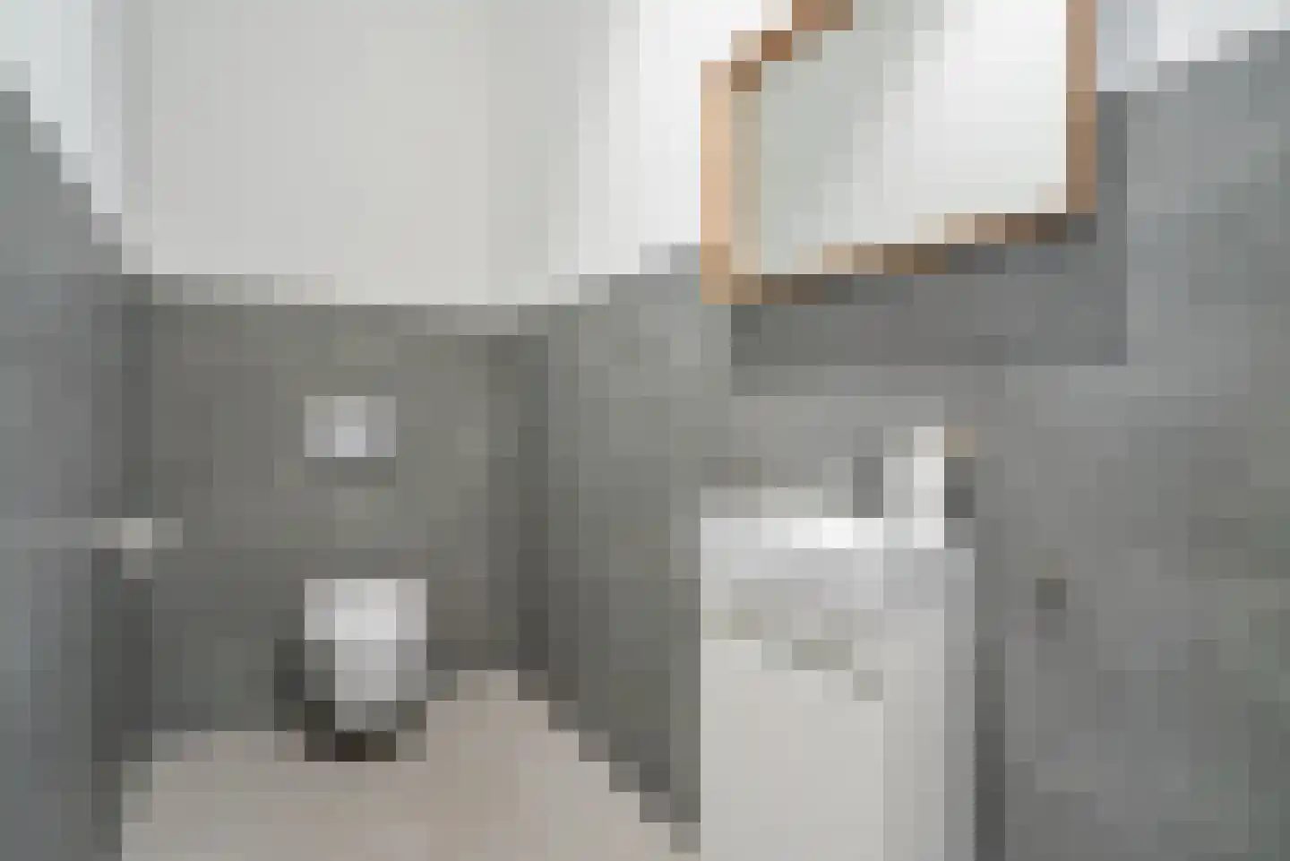 Raamweg 21 Den Haag thumbnail 6