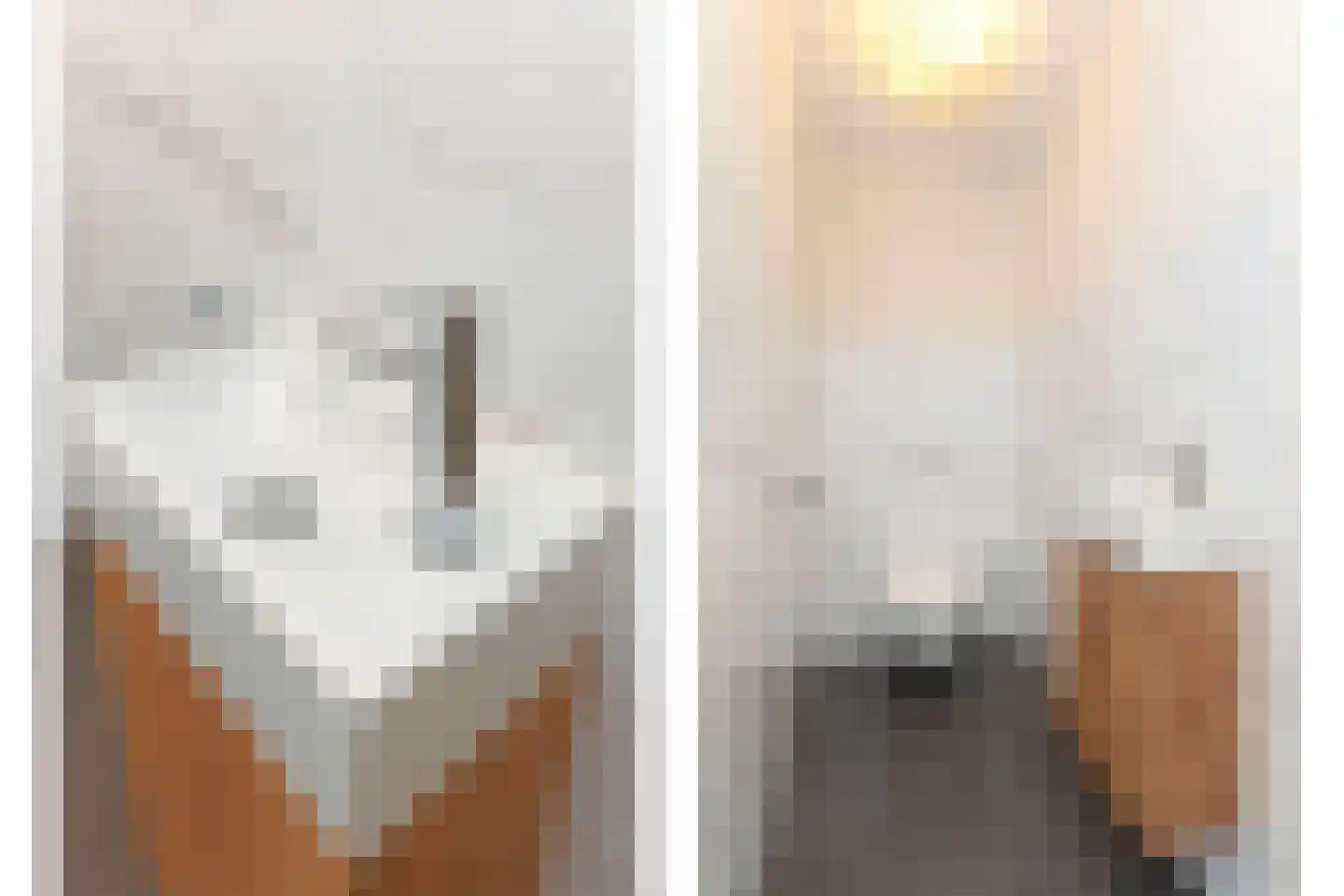 Raamweg 22 Den Haag thumbnail 16
