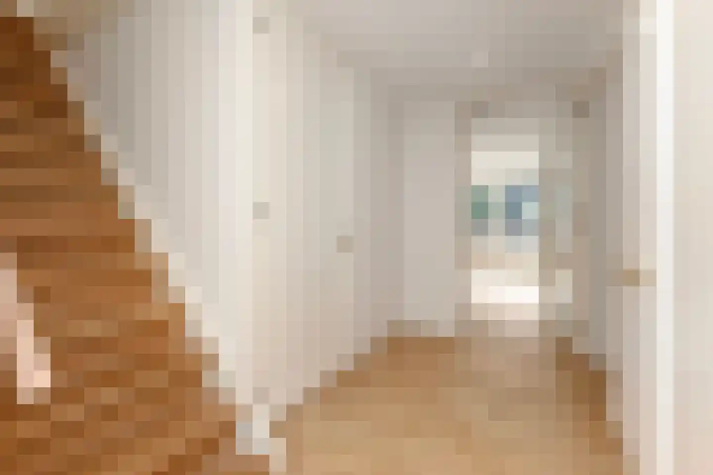 Raamweg 22 Den Haag thumbnail 21