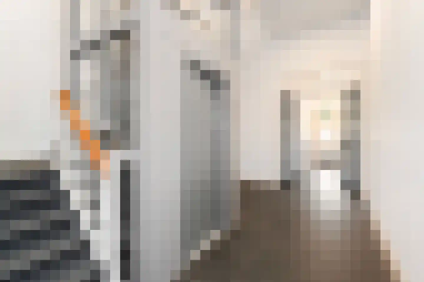 Raamweg 22 Den Haag thumbnail 32