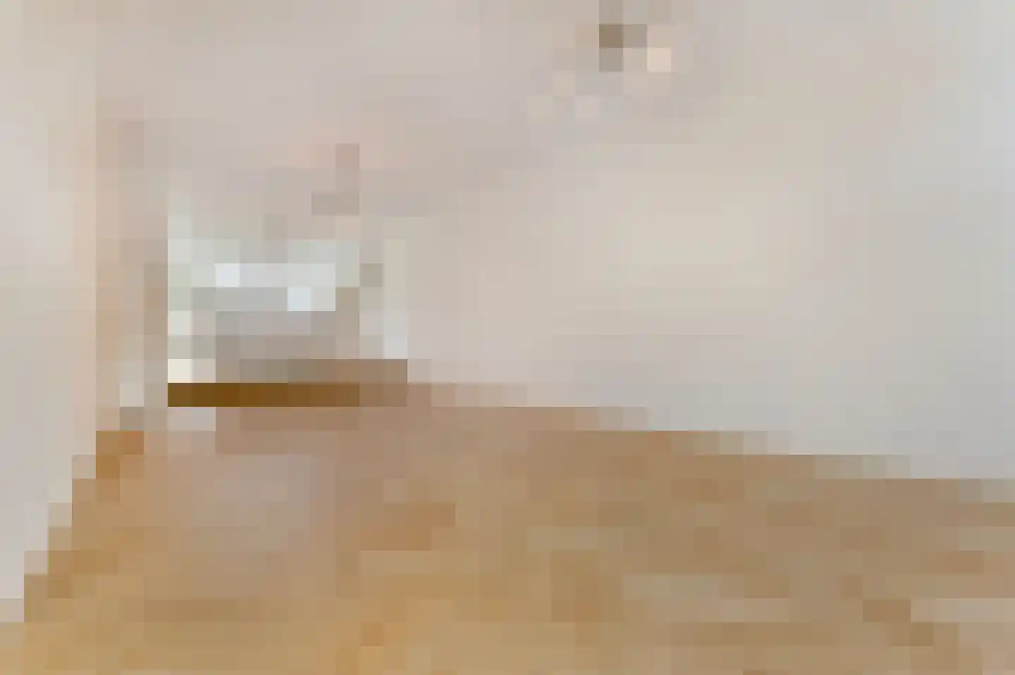 Raamweg 22 Den Haag thumbnail 9