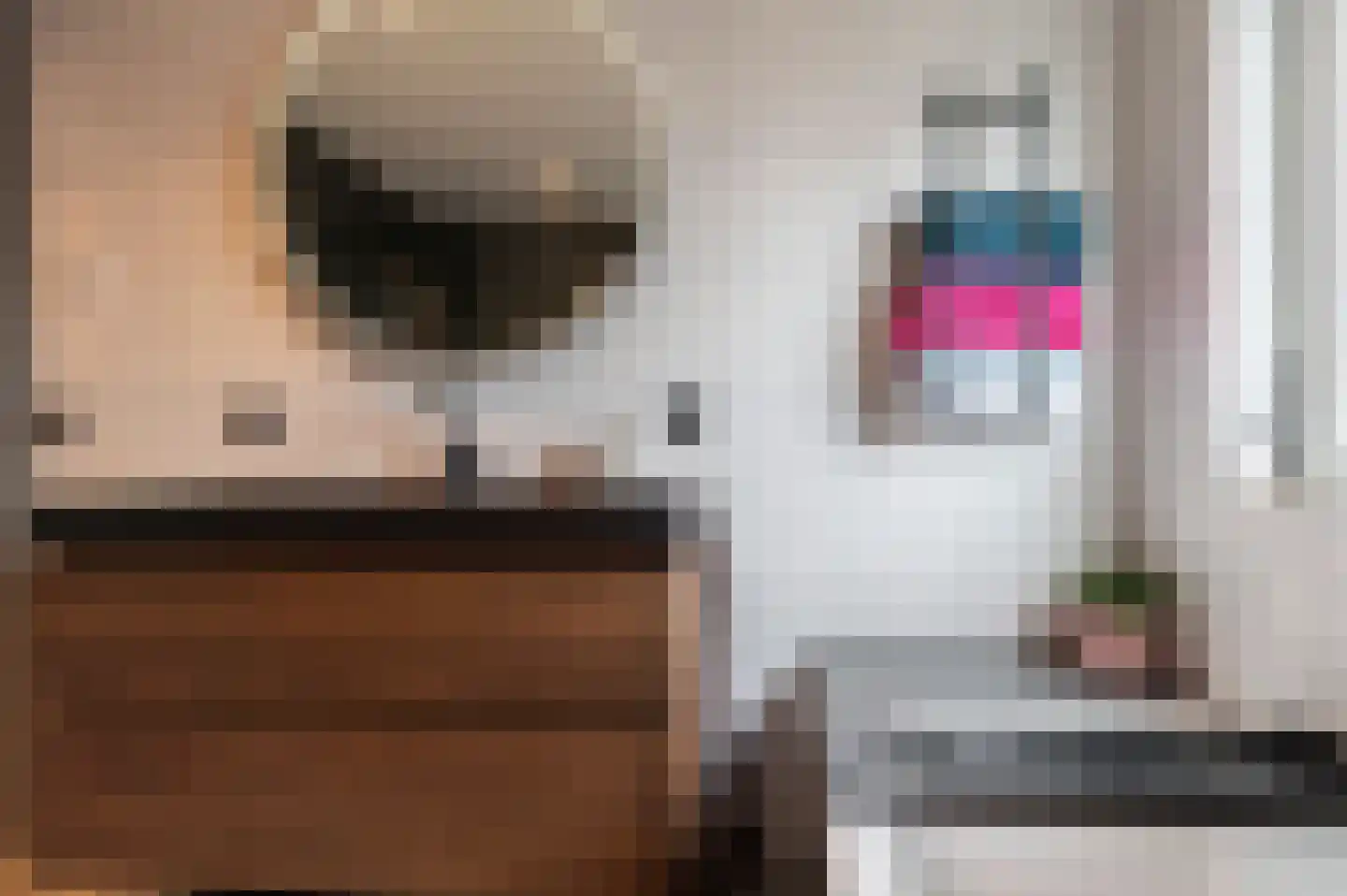 Raamweg 29 Tricht thumbnail 25