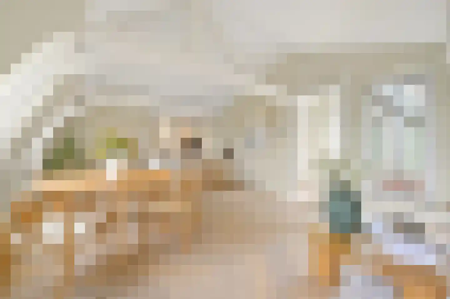 Raamweg 3 A Den Haag thumbnail 11