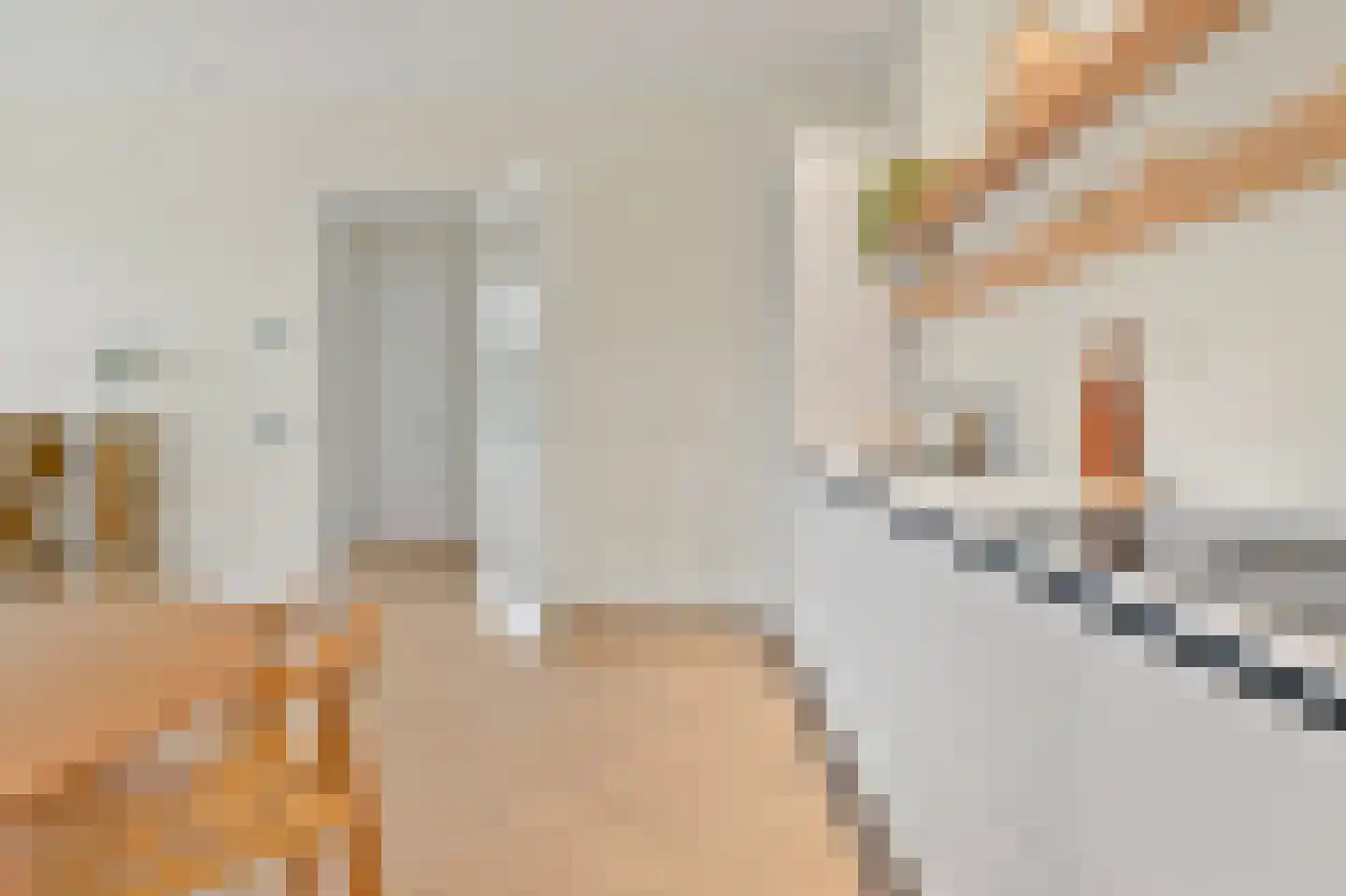 Raamweg 3 A Den Haag thumbnail 12