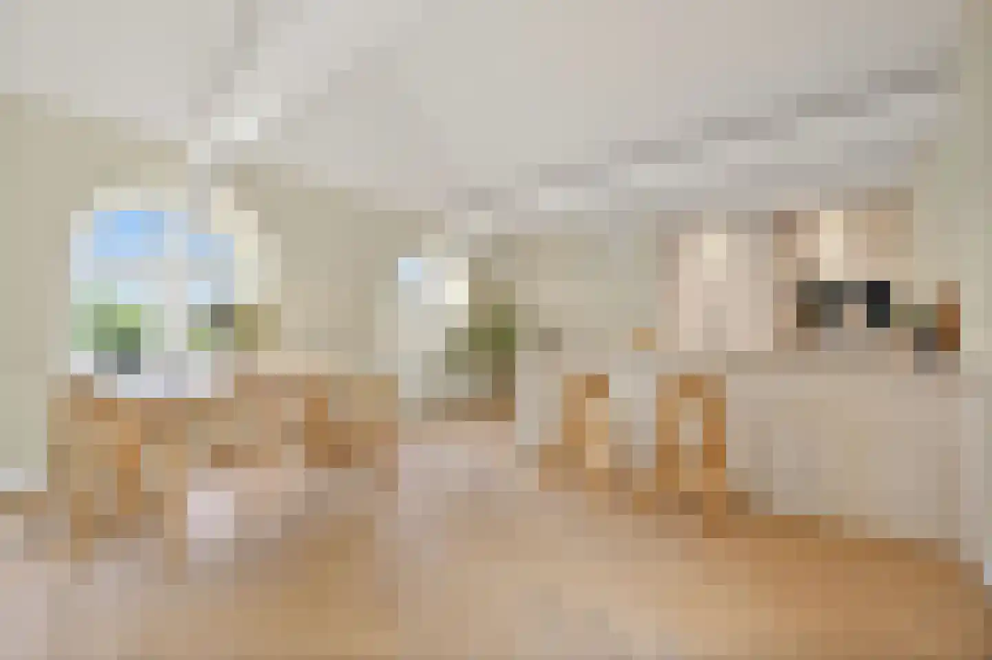 Raamweg 3 A Den Haag thumbnail 13