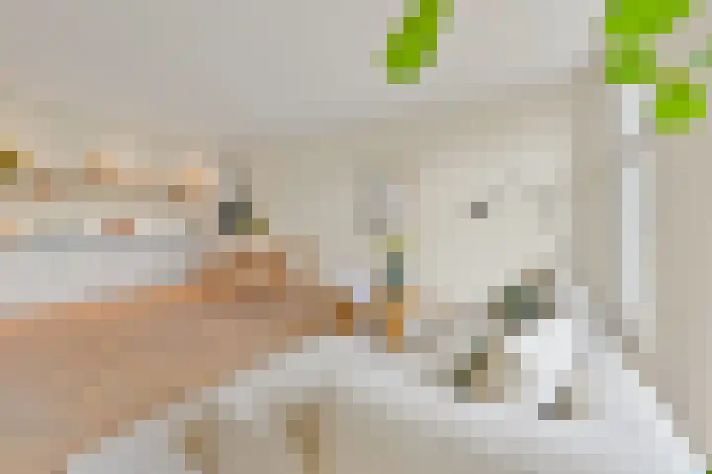 Raamweg 3 A Den Haag thumbnail 13