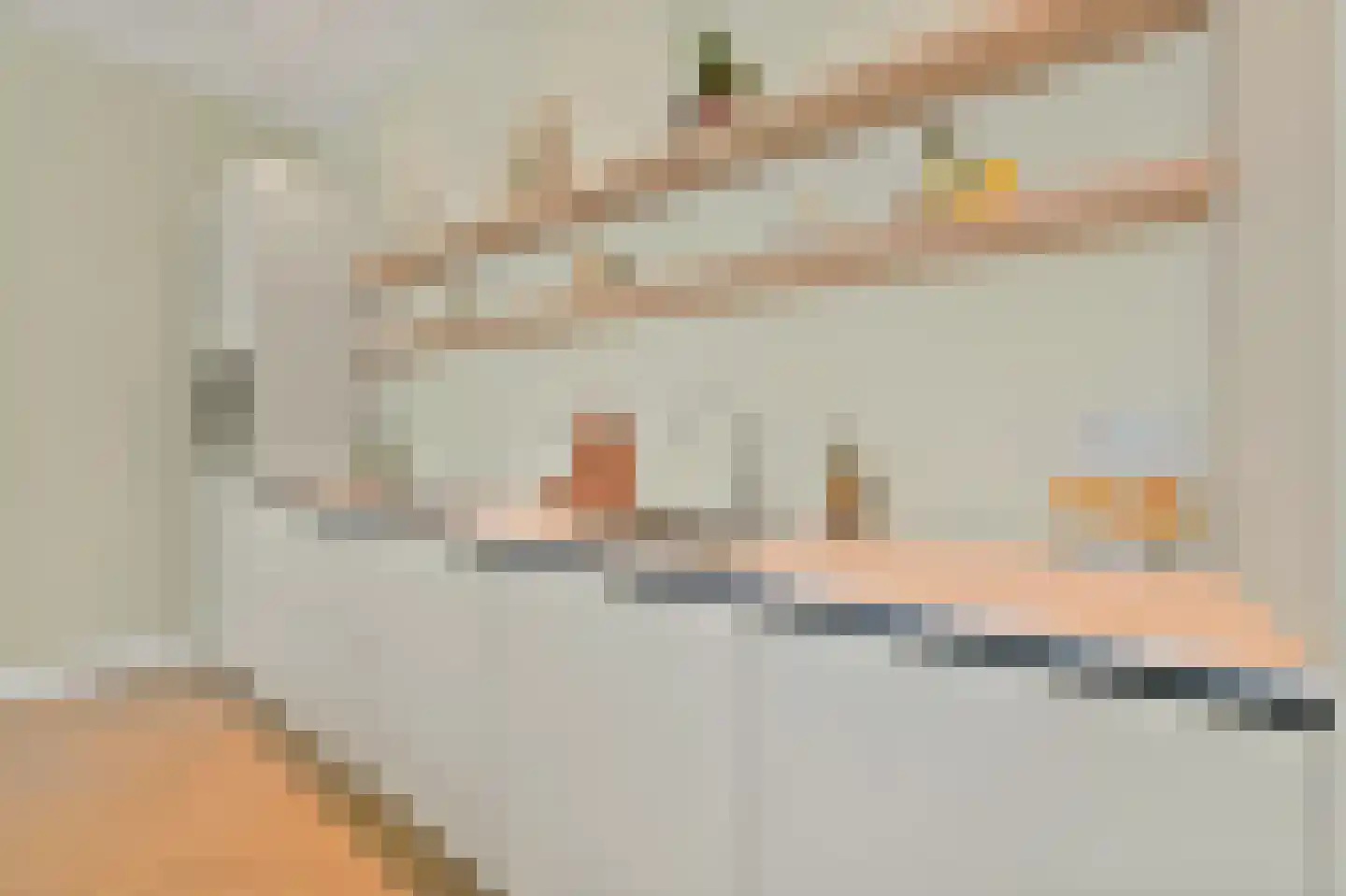 Raamweg 3 A Den Haag thumbnail 14
