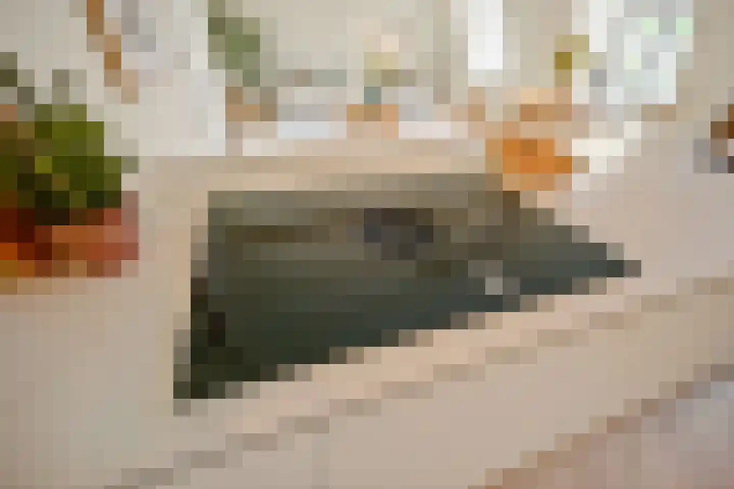 Raamweg 3 A Den Haag thumbnail 17