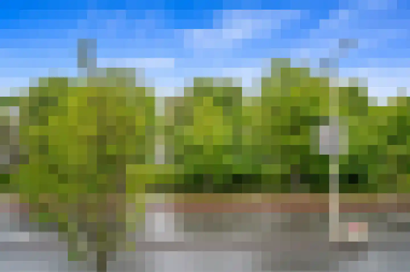 Raamweg 3 A Den Haag thumbnail 24