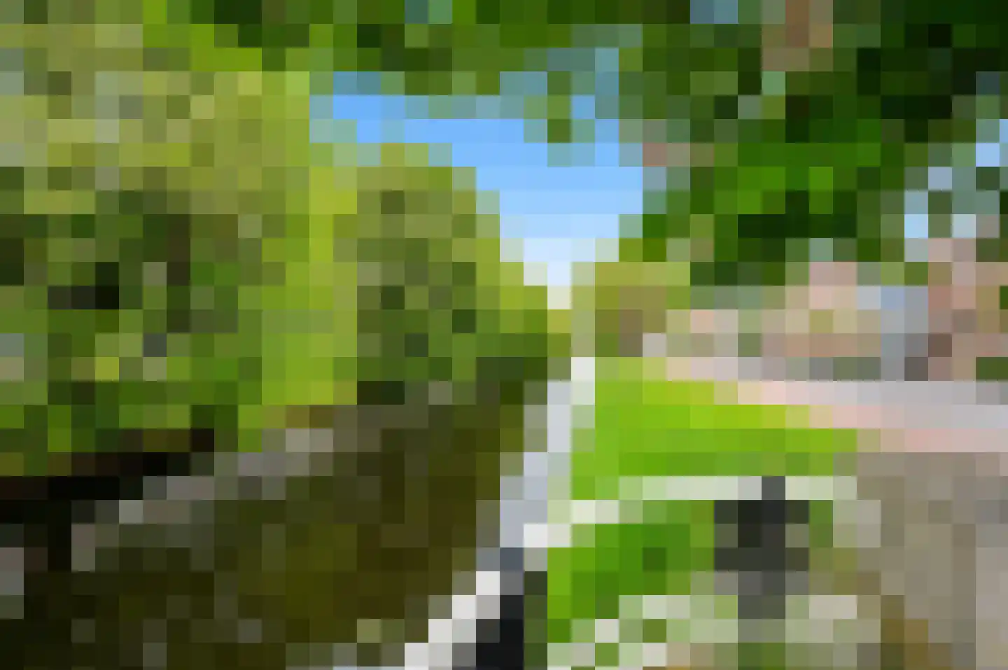 Raamweg 3 A Den Haag thumbnail 31