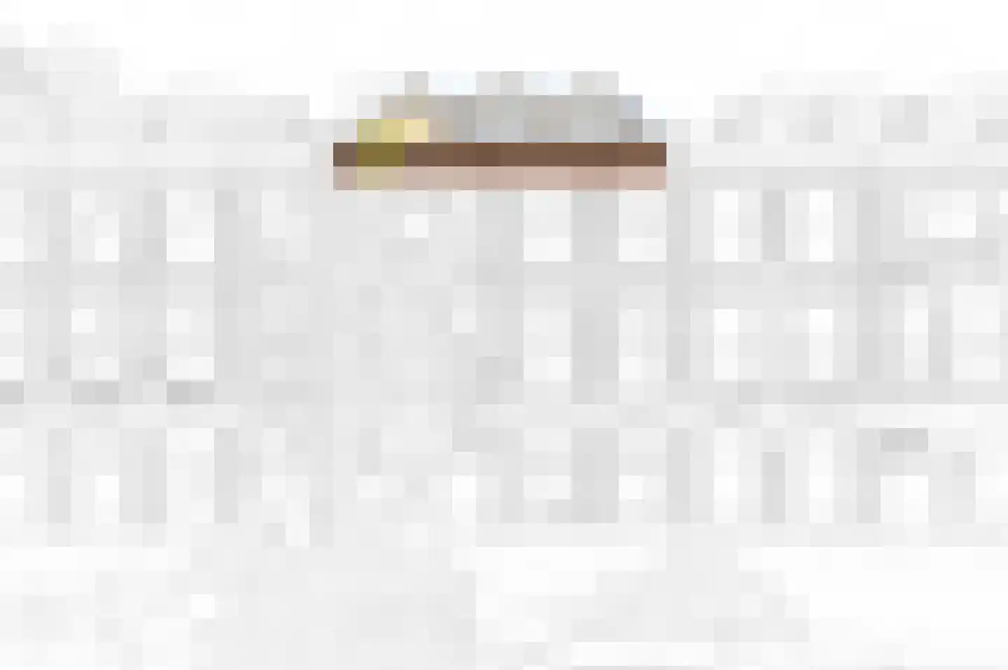 Raamweg 3 A Den Haag thumbnail 6
