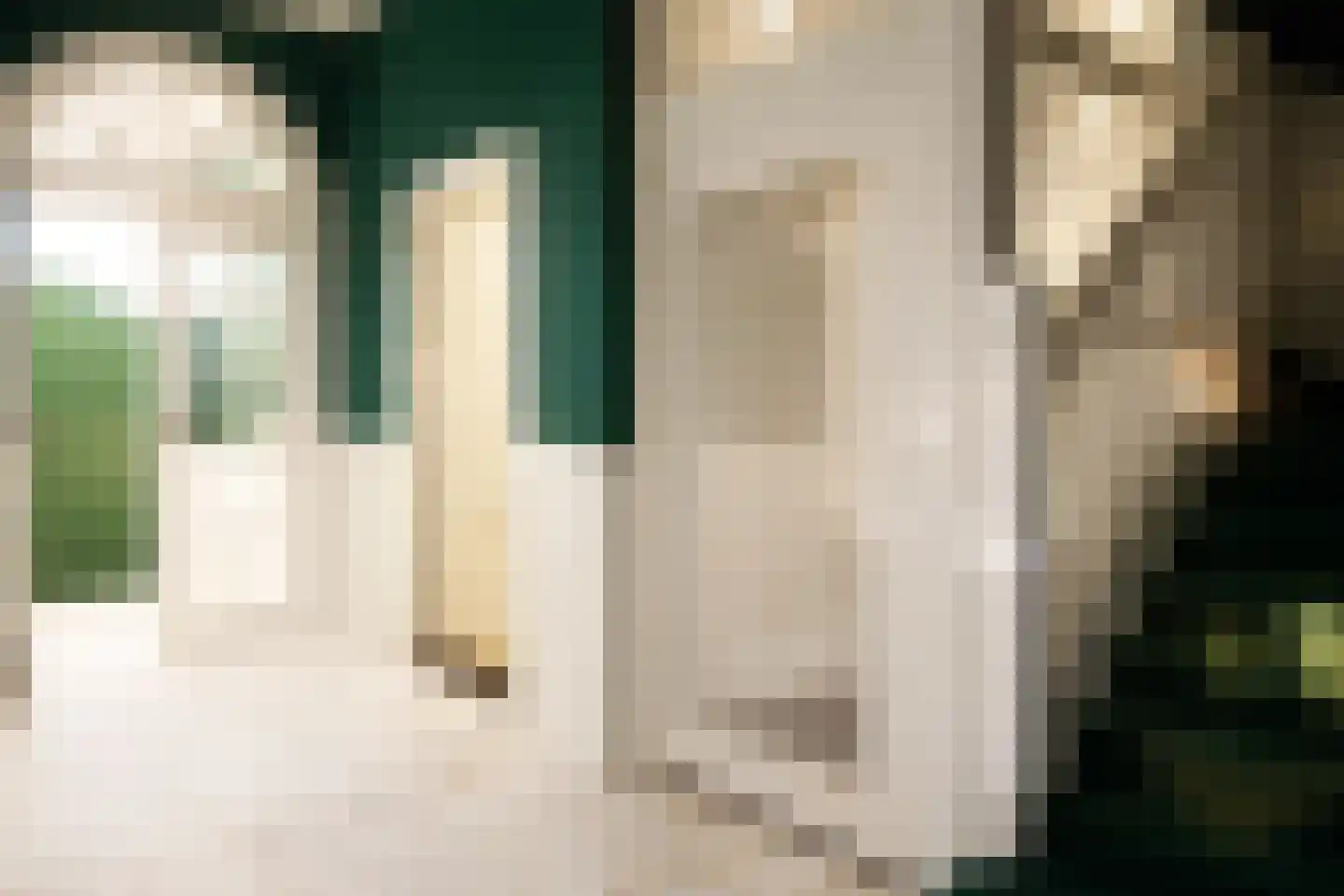 Raamweg 3 A Den Haag thumbnail 8