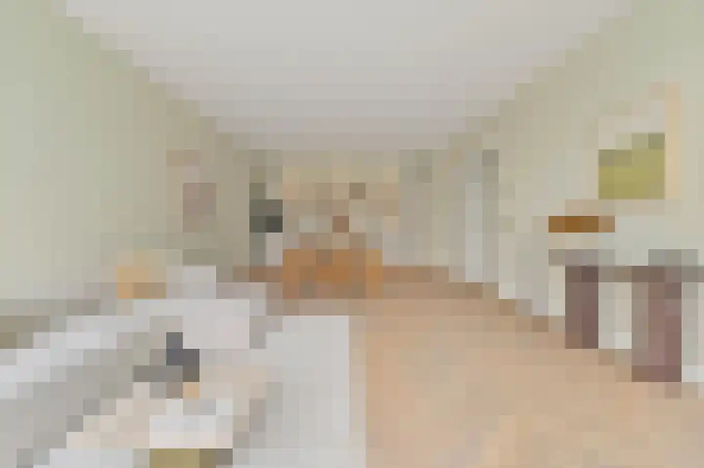 Raamweg 3 A Den Haag thumbnail 8