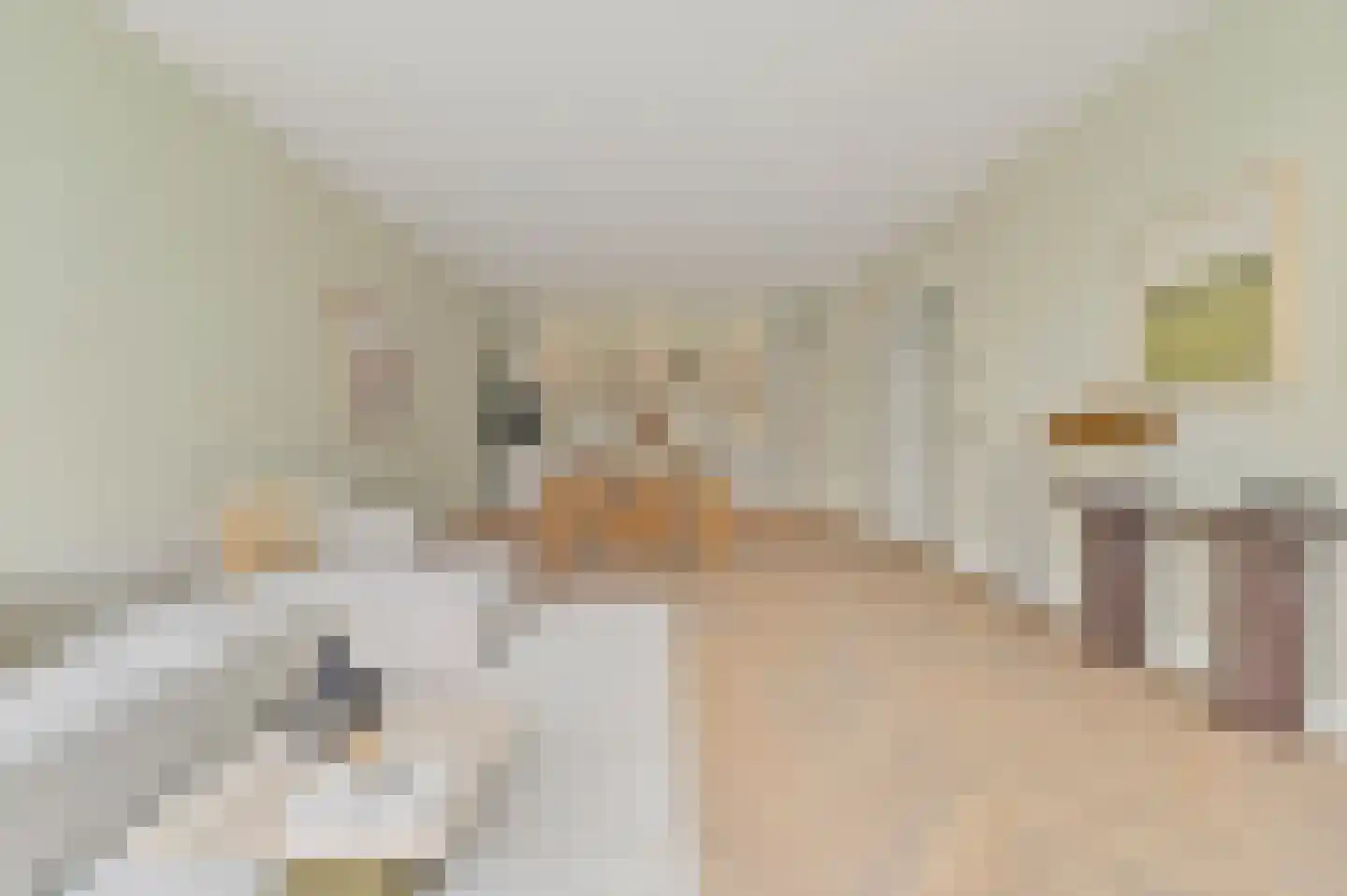 Raamweg 3 A Den Haag thumbnail 9