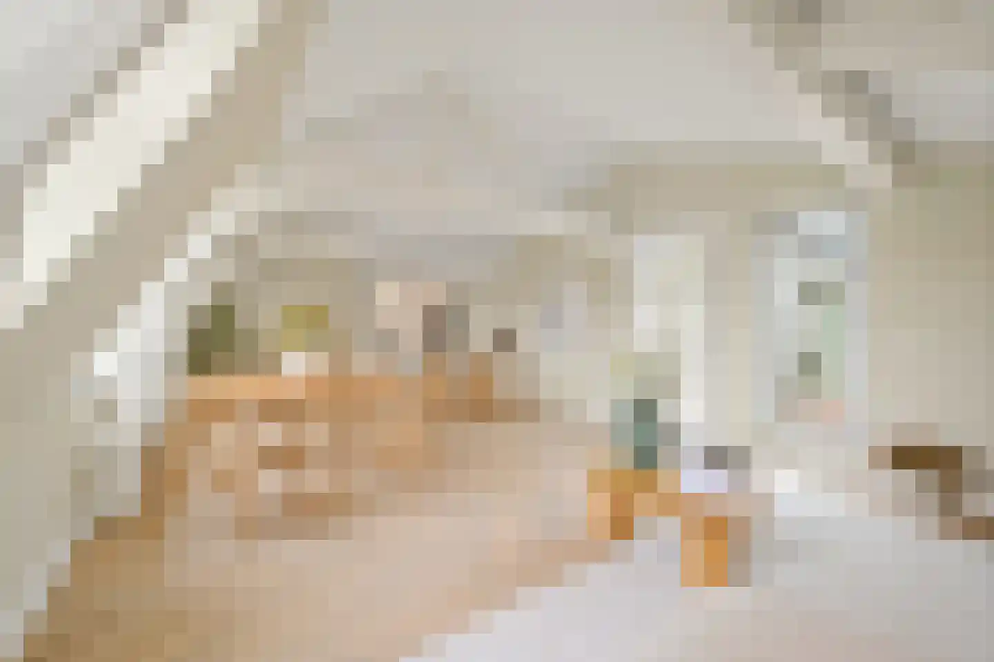 Raamweg 3 A Den Haag thumbnail 9