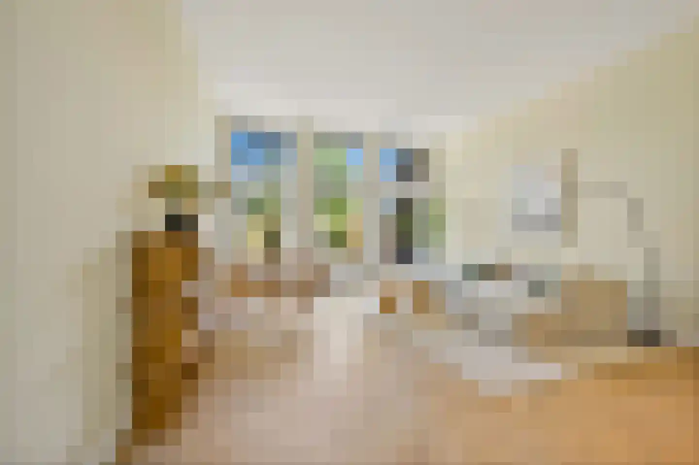 Raamweg 3 Den Haag thumbnail 12