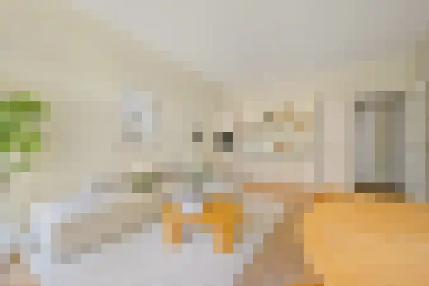 Raamweg 3 Den Haag thumbnail 17