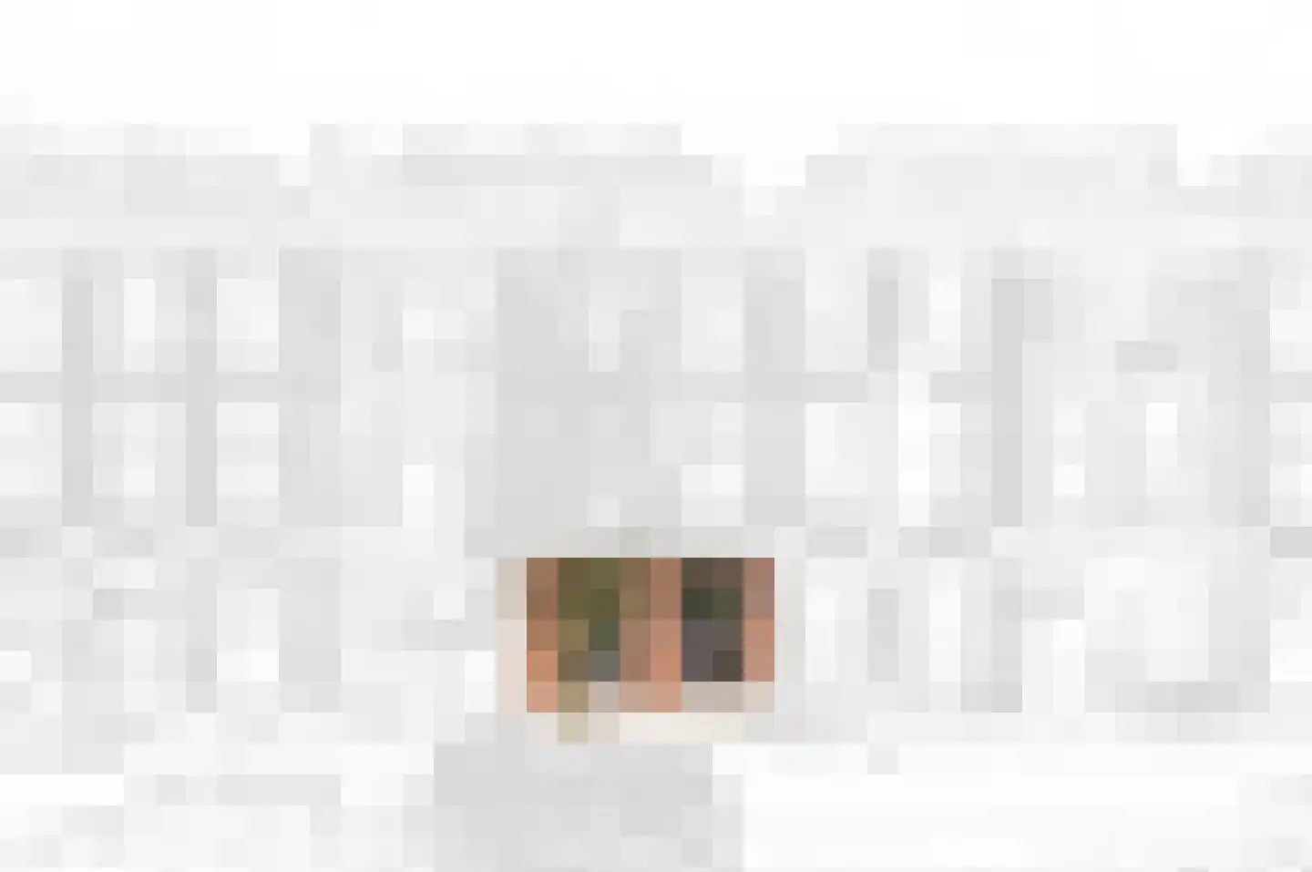 Raamweg 3 Den Haag thumbnail 5