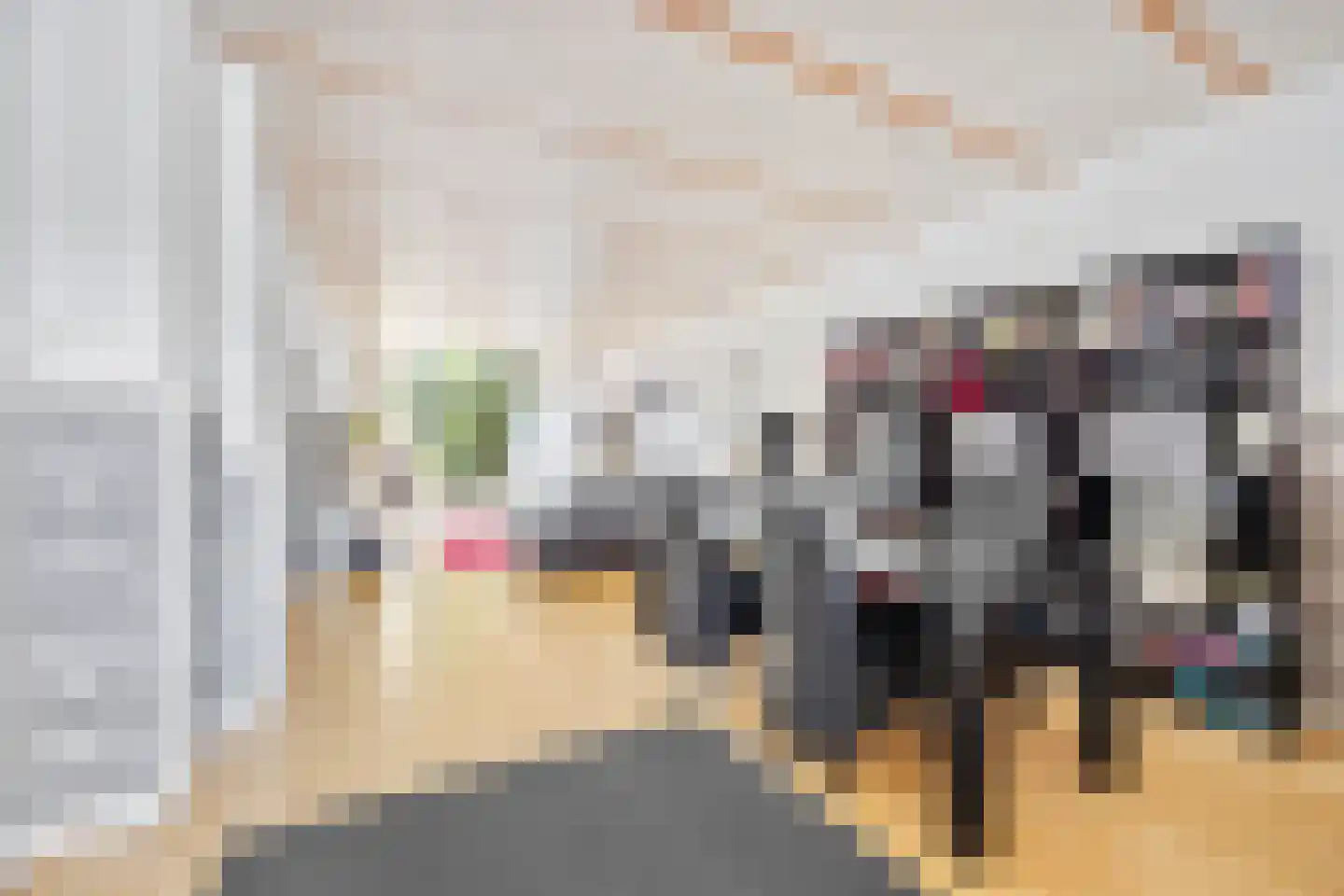 Raamweg 38 Den Haag thumbnail 10