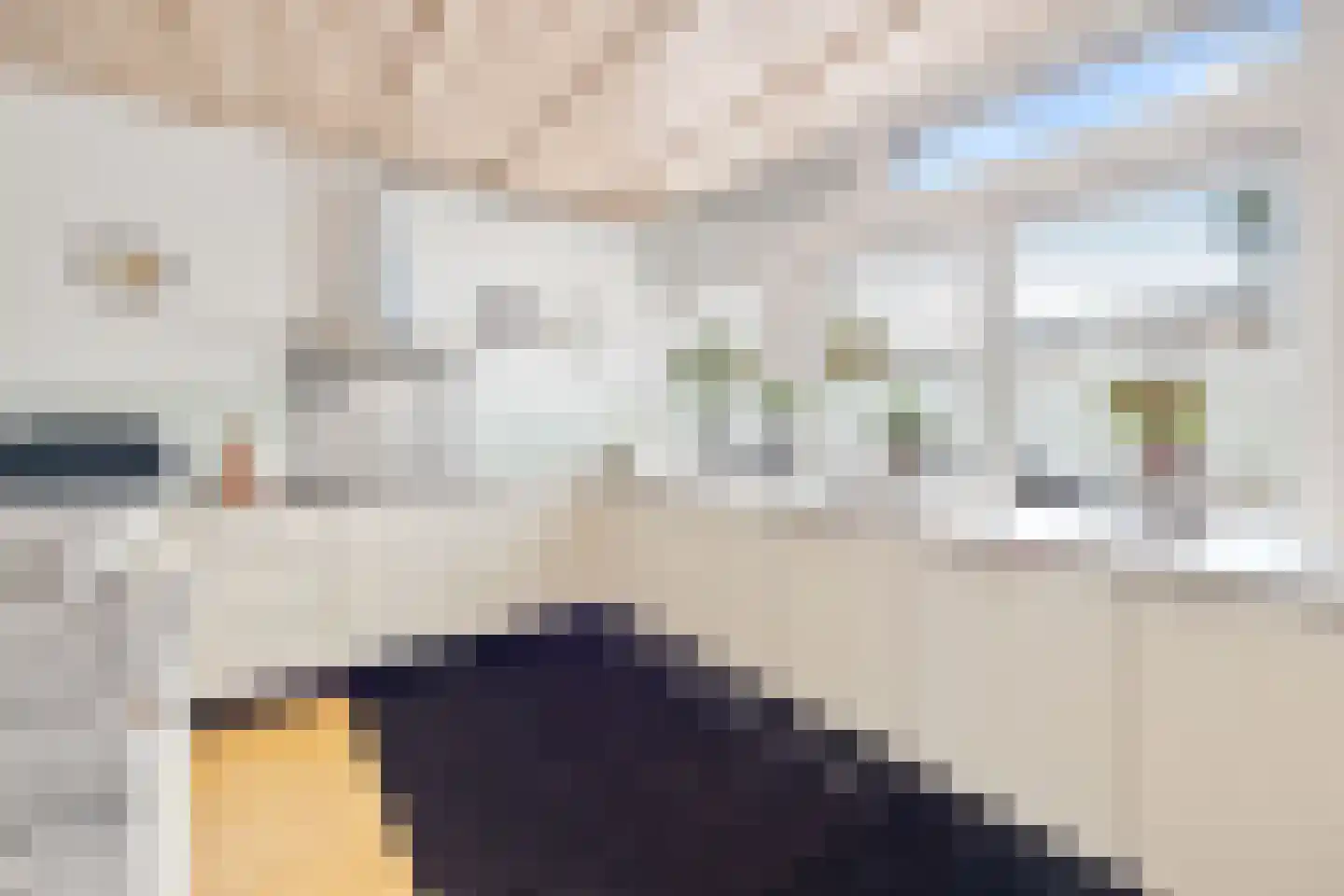 Raamweg 38 Den Haag thumbnail 14