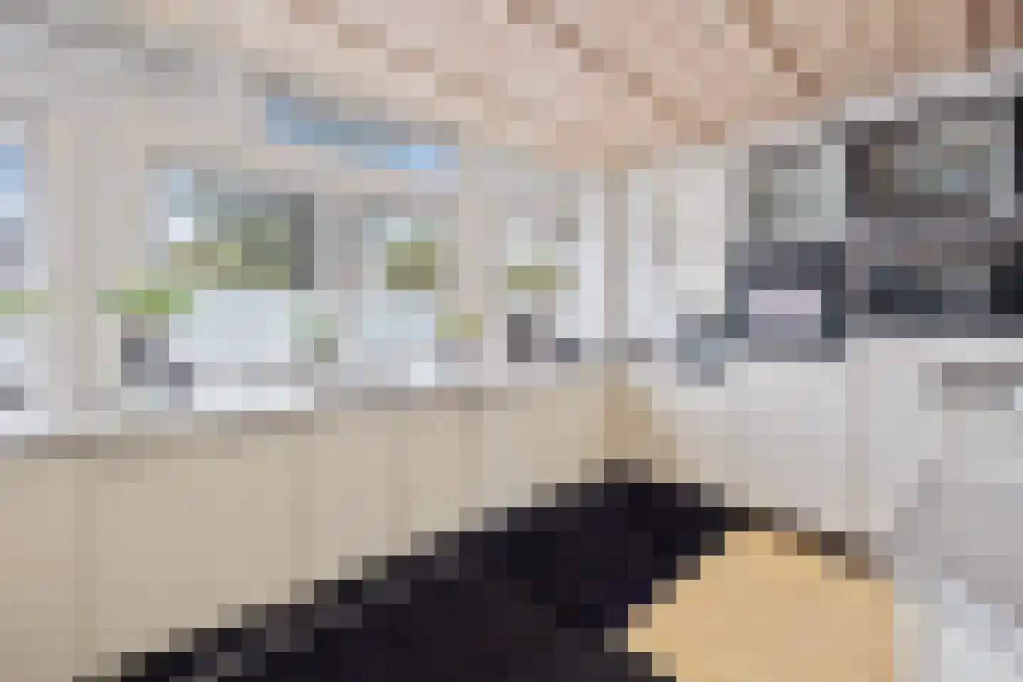 Raamweg 38 Den Haag thumbnail 15