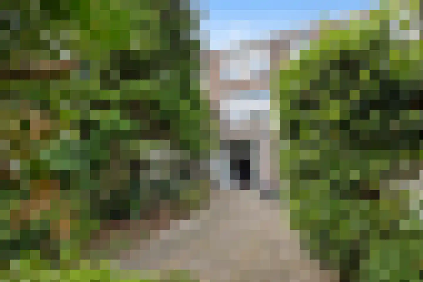 Raamweg 38 Den Haag thumbnail 17