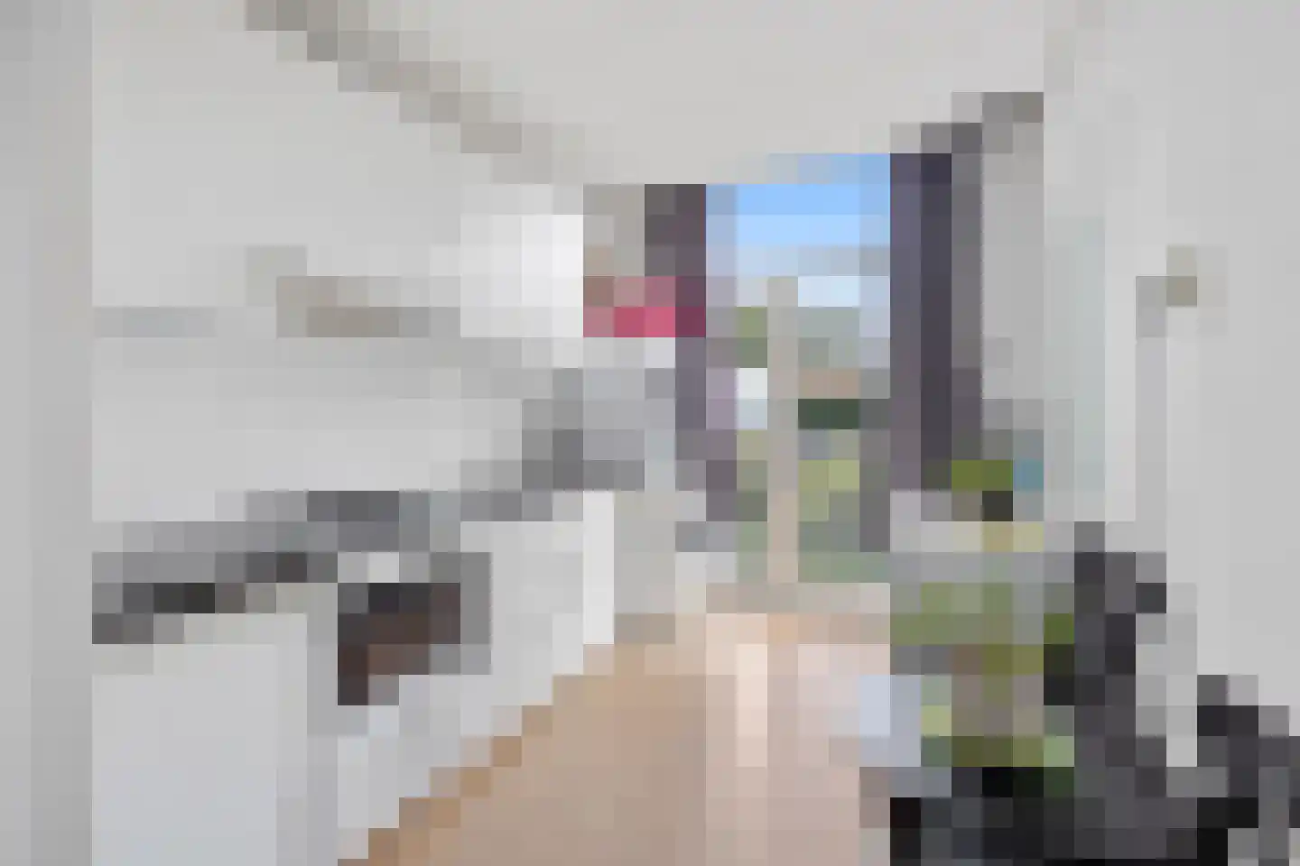 Raamweg 38 Den Haag thumbnail 28