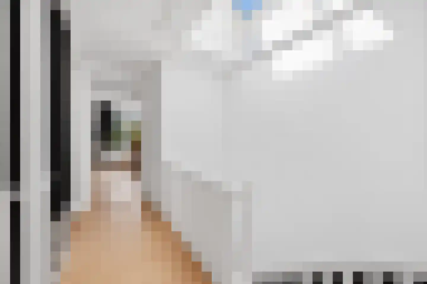 Raamweg 38 Den Haag thumbnail 32