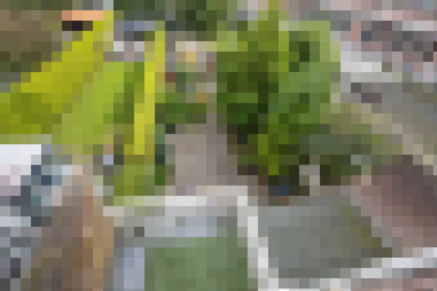 Raamweg 38 Den Haag thumbnail 42