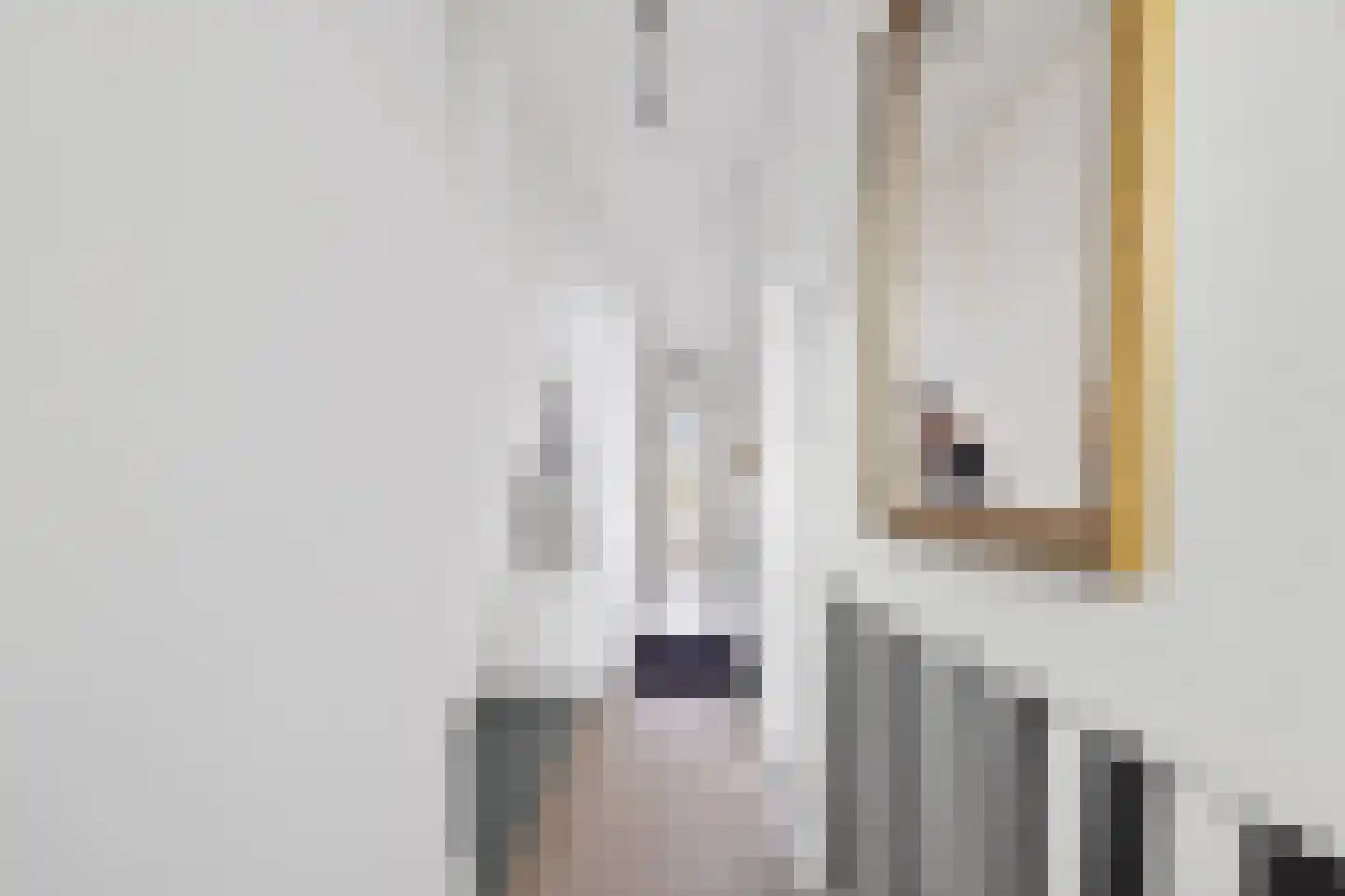 Raamweg 38 Den Haag thumbnail 6