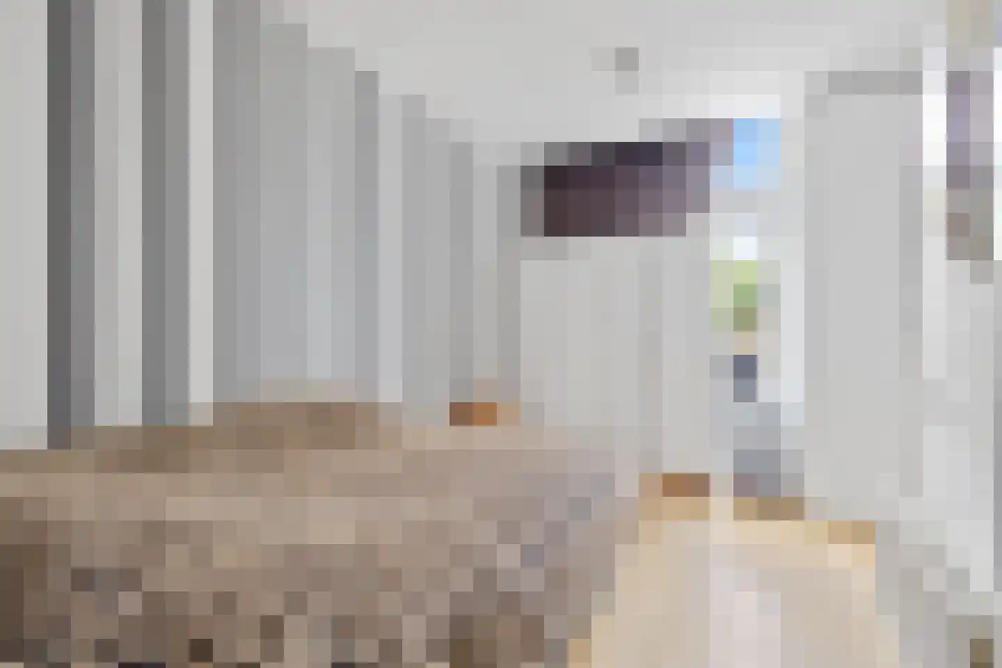 Raamweg 38 Den Haag thumbnail 8