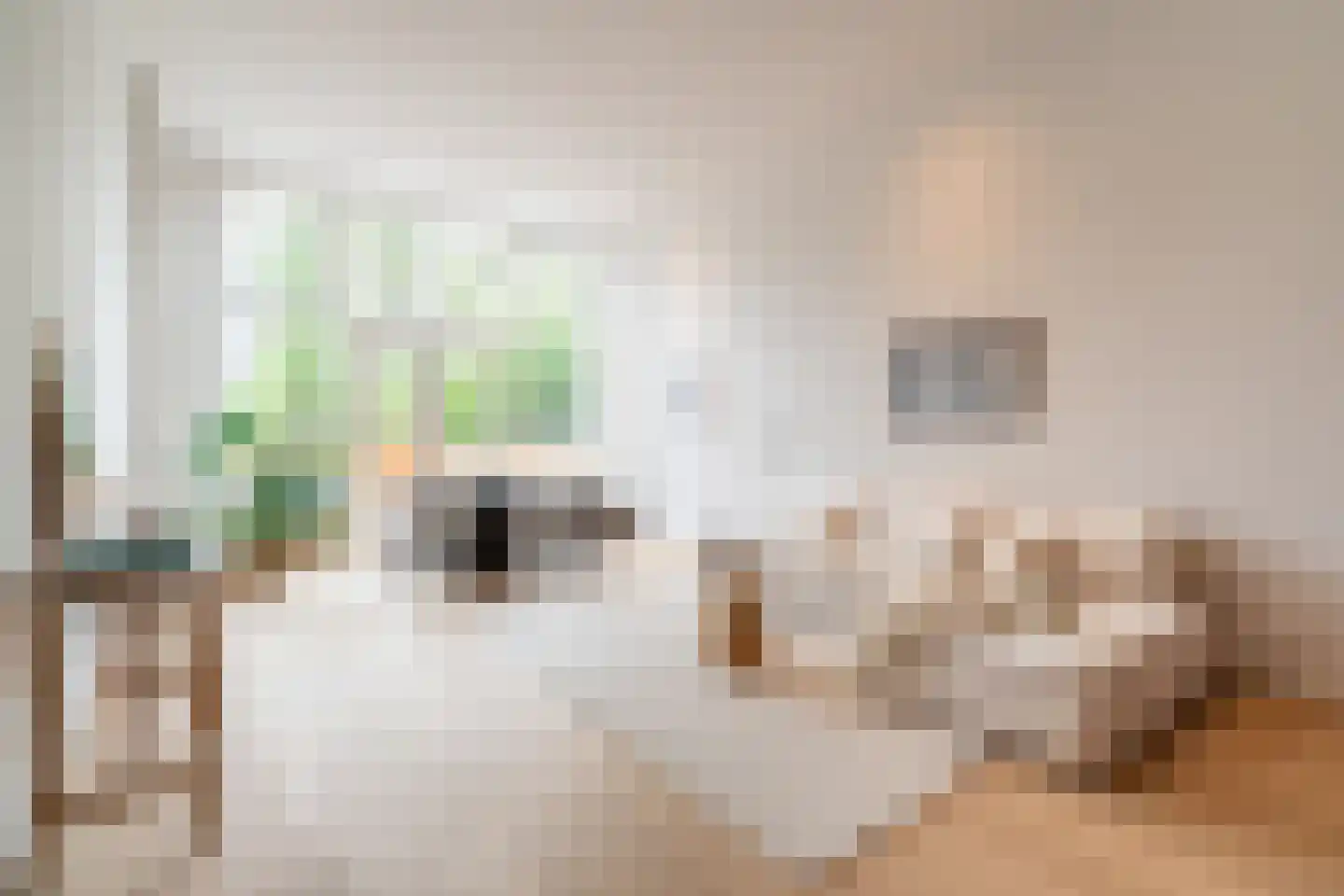 Raamweg 5 A Den Haag thumbnail 12