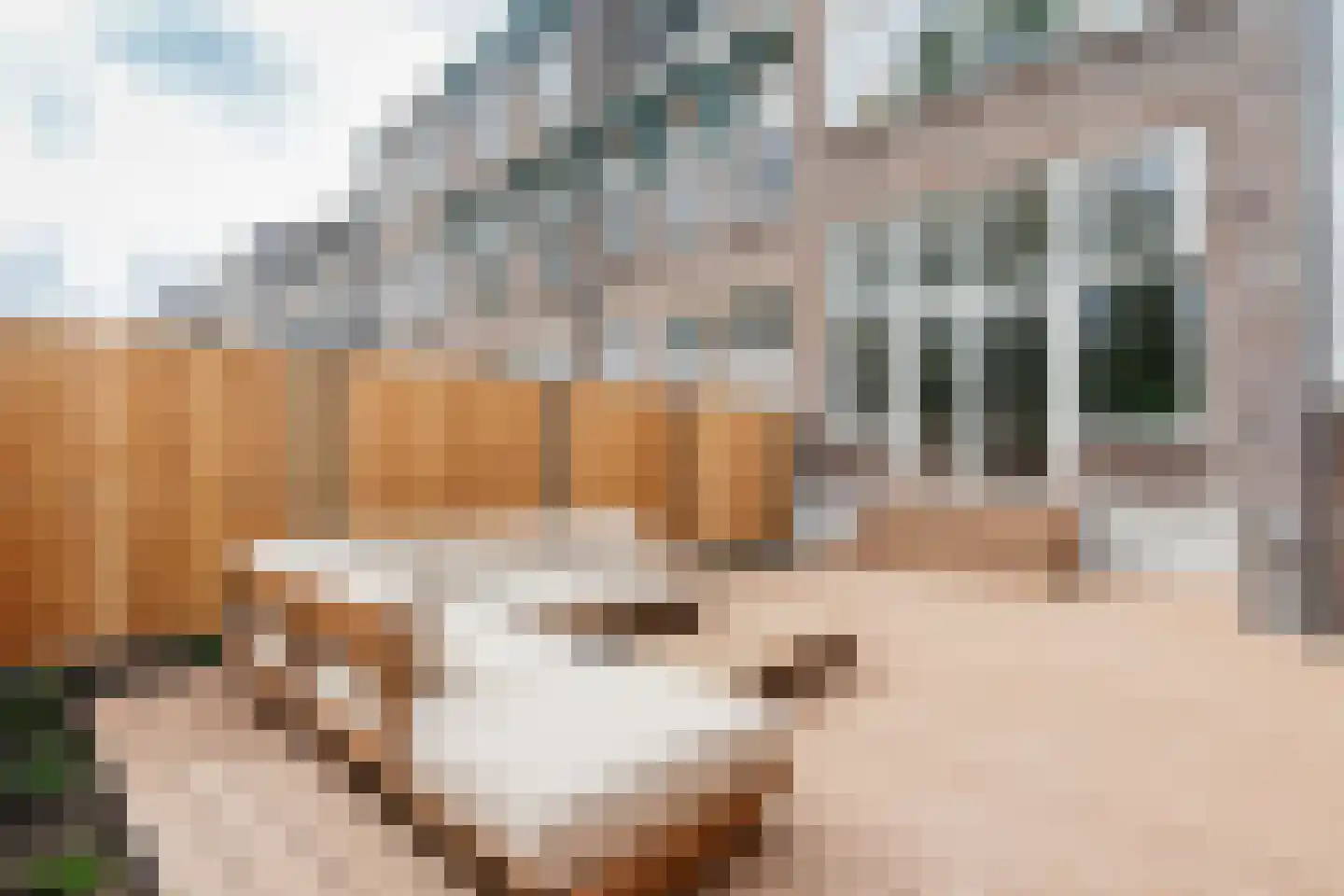 Raamweg 5 A Den Haag thumbnail 29