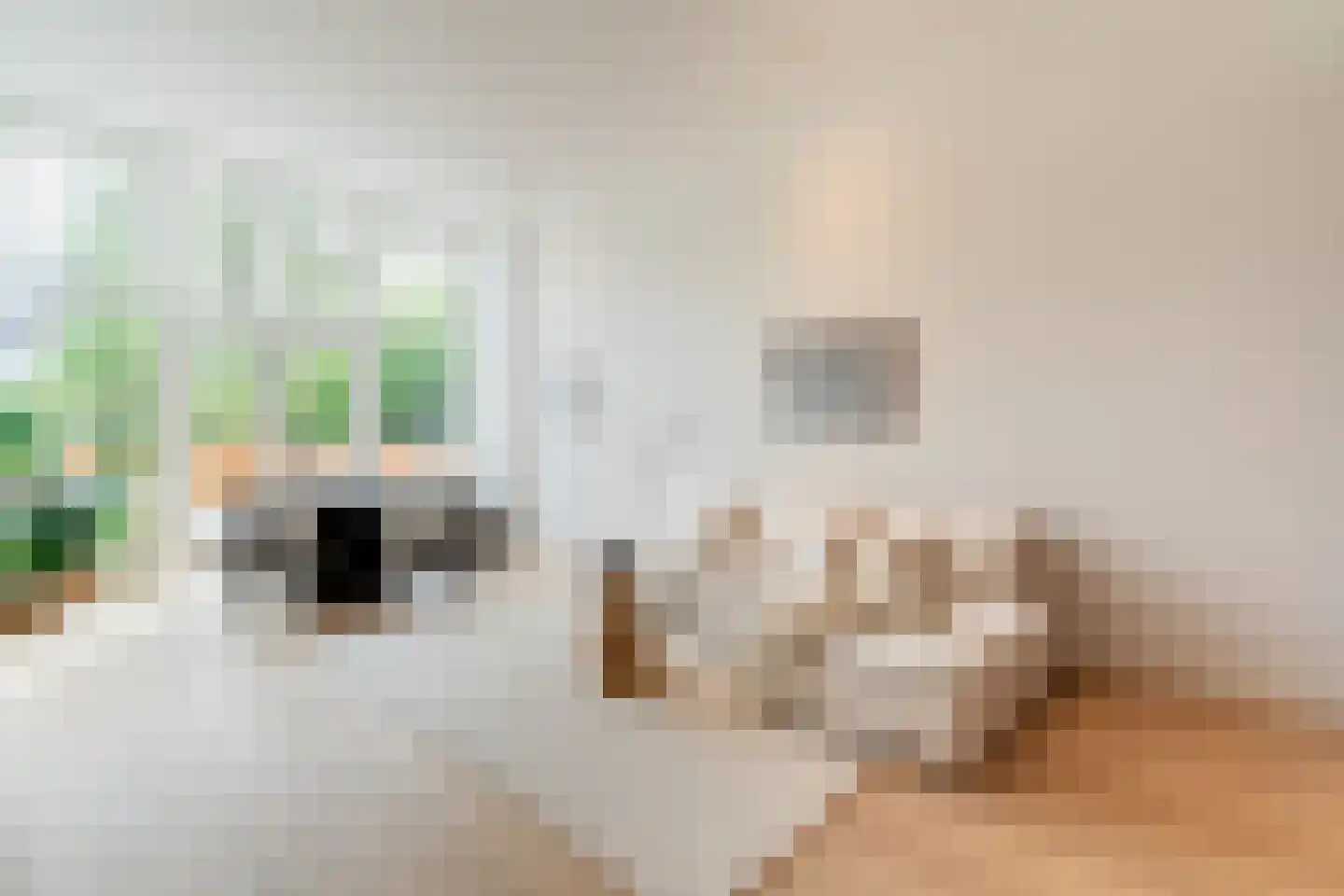 Raamweg 5 A Den Haag thumbnail 4