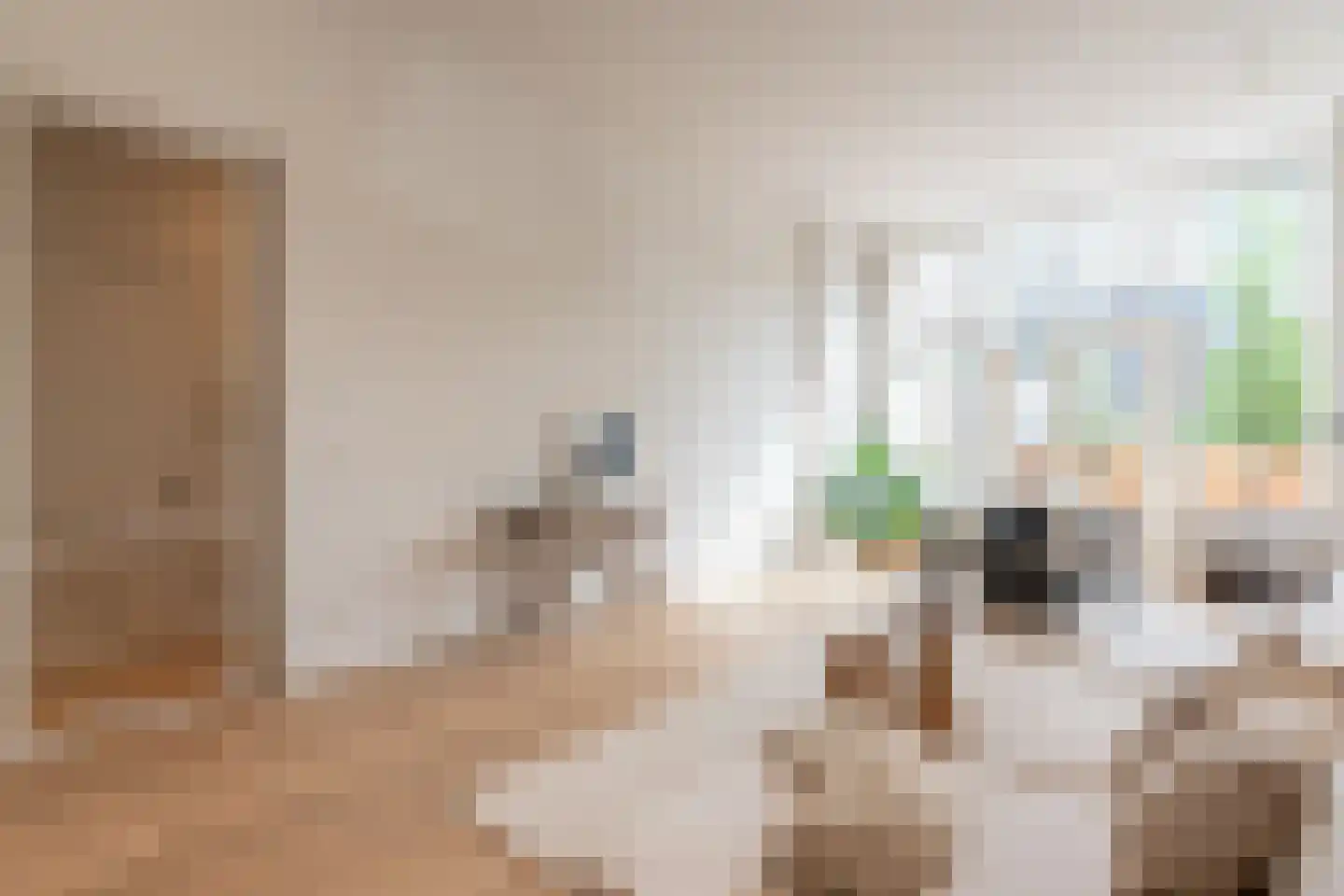 Raamweg 5 A Den Haag thumbnail 6