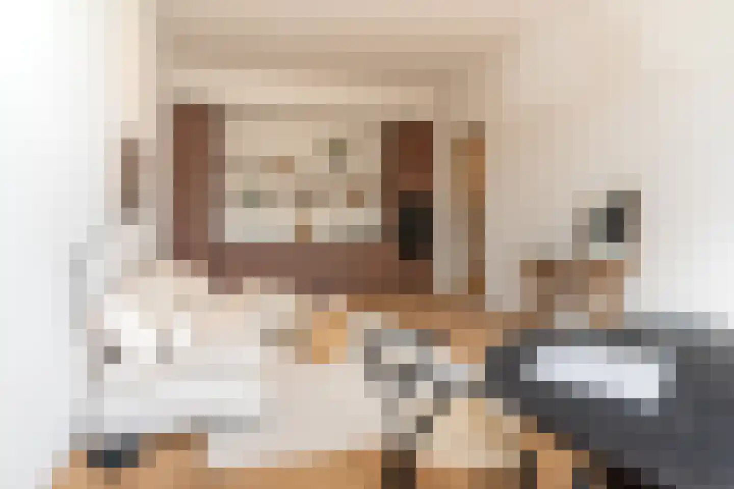 Raamweg 5 A Den Haag thumbnail 9