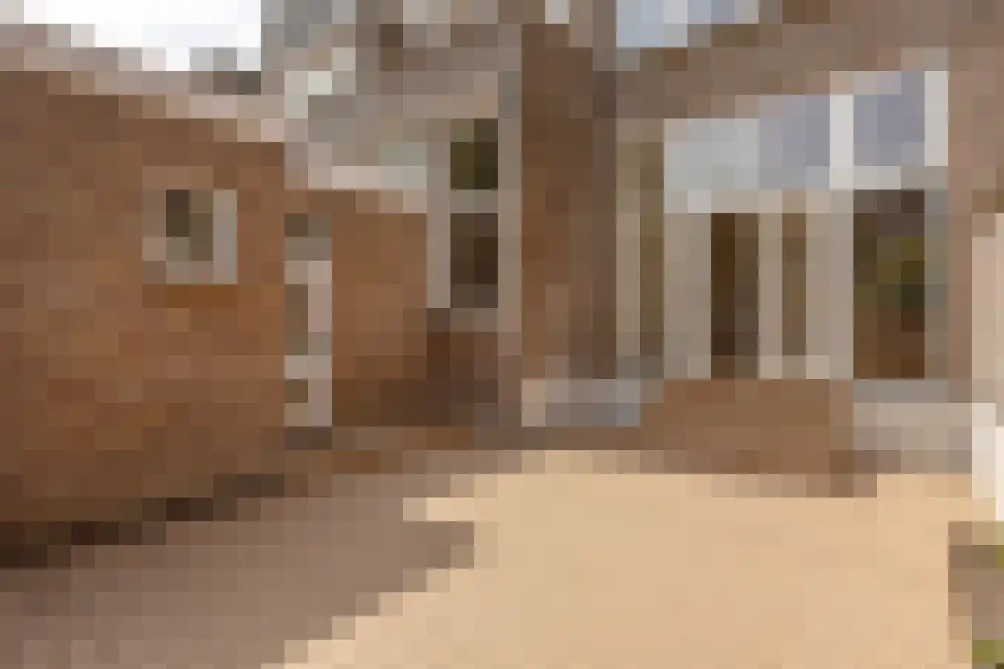 Raamweg 5 B Den Haag thumbnail 8