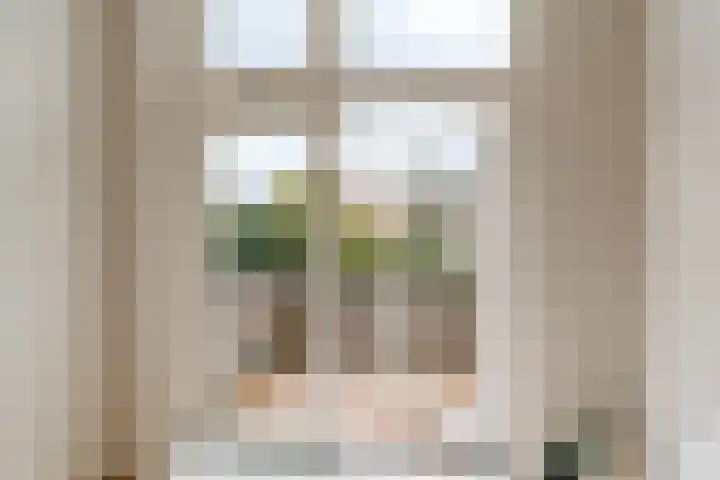 Raamweg 5 D Den Haag thumbnail 14
