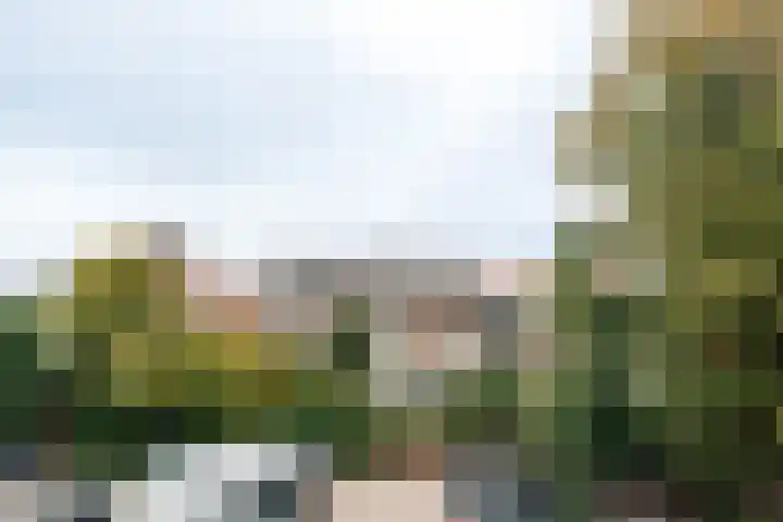 Raamweg 5 D Den Haag thumbnail 15