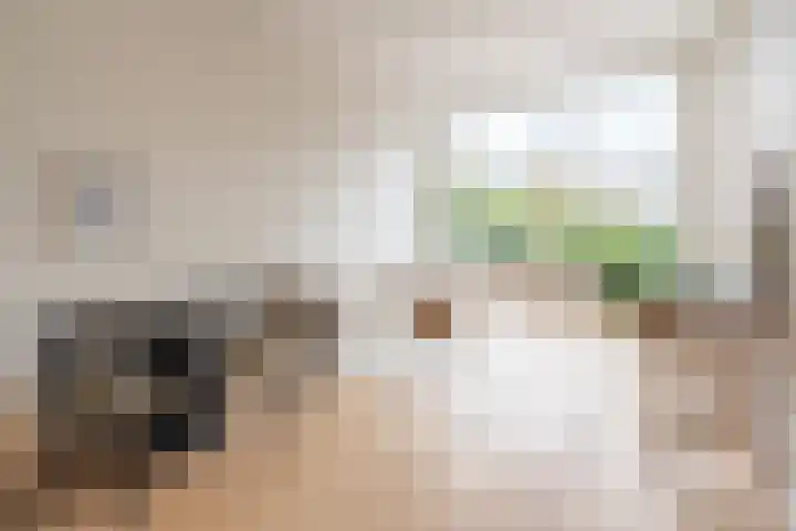 Raamweg 5 D Den Haag thumbnail 6