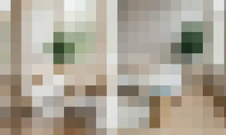 Raamweg 5 F Den Haag thumbnail 6