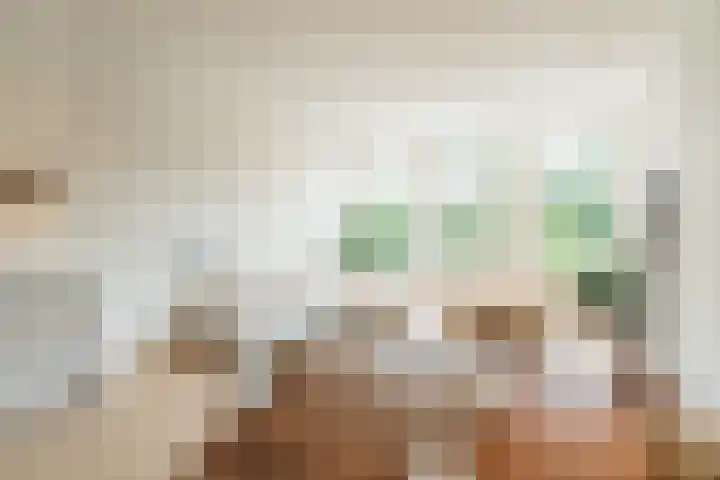 Raamweg 5 G Den Haag thumbnail 6