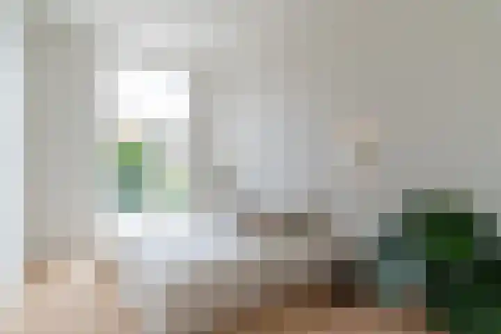 Raamweg 5 H Den Haag thumbnail 8