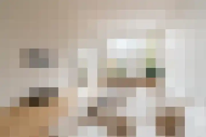 Raamweg 5 J Den Haag thumbnail 8