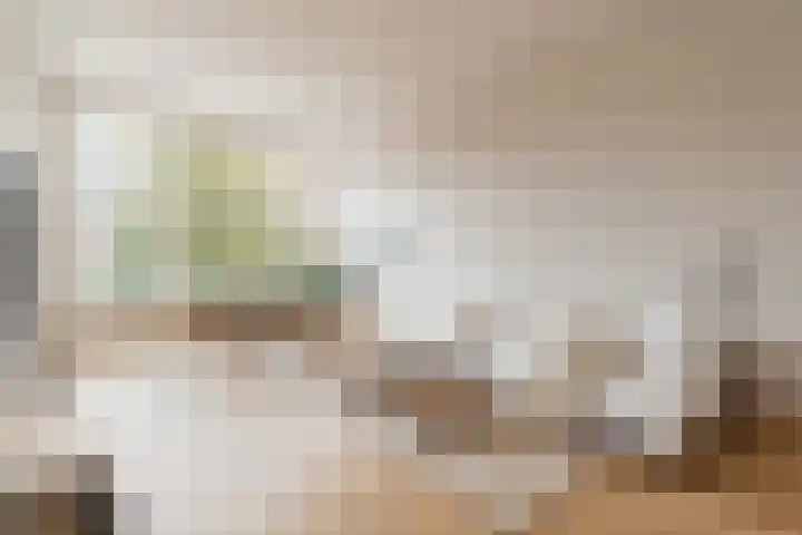 Raamweg 5 L Den Haag thumbnail 4